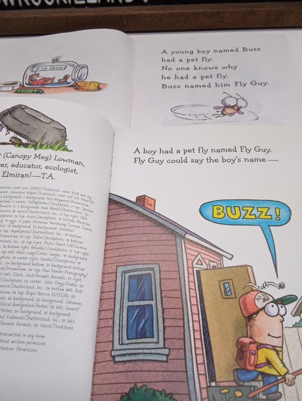 Fly Guy Level Reader Bundle Book#10 - Picture 7 of 7